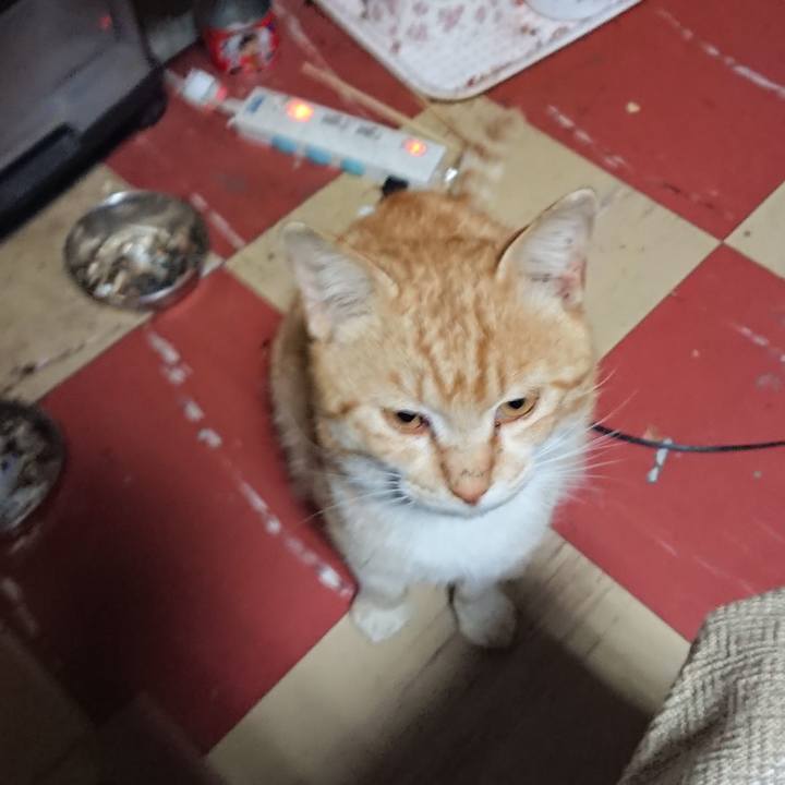 8cfdadff 5c7d 4942 9fb5 ea2b0a78c182 1555186084168