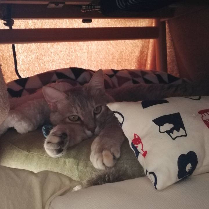 8cfdaf57 da11 429d a4ec 30c79e7f7cfe 1547385099049