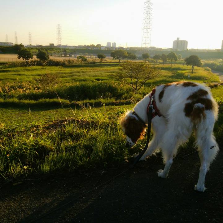 8cfdd7ef 9370 4982 83ad d1aa296e06df 1538134775300