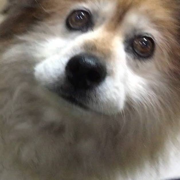 8cfde425 9eb1 4681 95e7 314278a4abc3 1594652622502