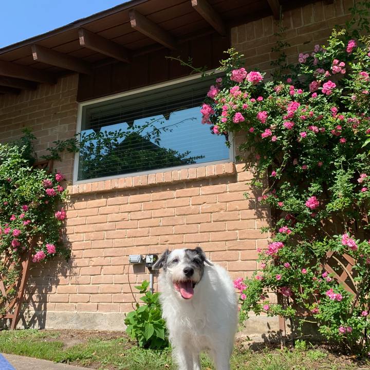 8cfe1a9d 8d56 424b 9668 ad061ec35fbb 1651010706223