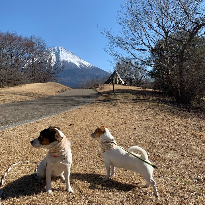 8cfe1db8 bc25 4af0 a2b2 6bb2319964b3 1612596247846