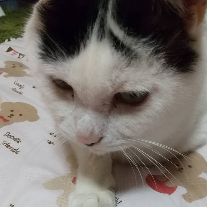 8cfe35fc 5ac7 4010 b14b a761ed0aa589 1650625038757