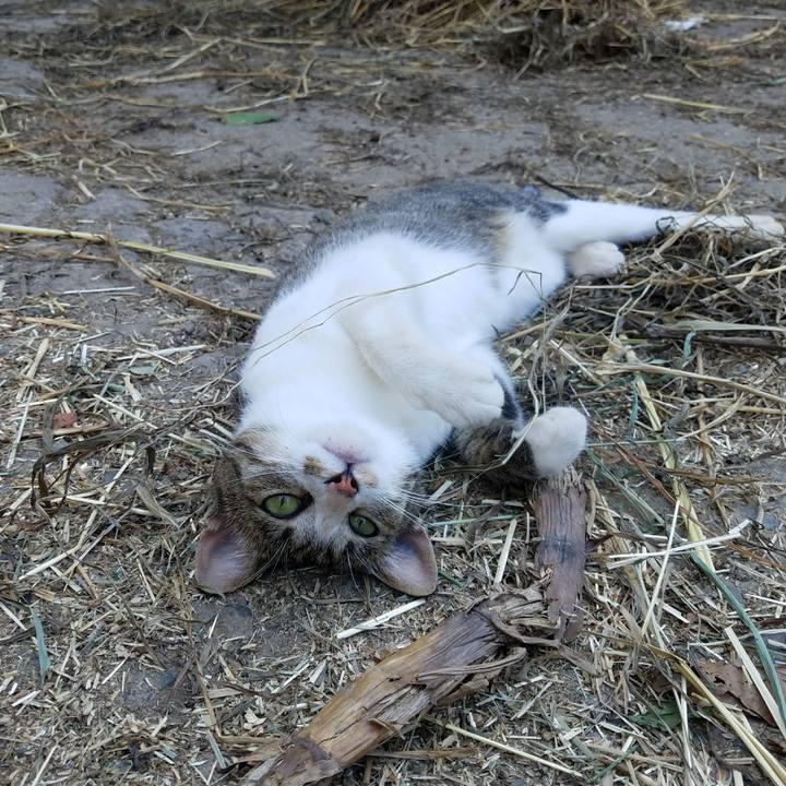 8cfe3bf1 5873 4d55 9416 492d10bb5d4b 1533160750726