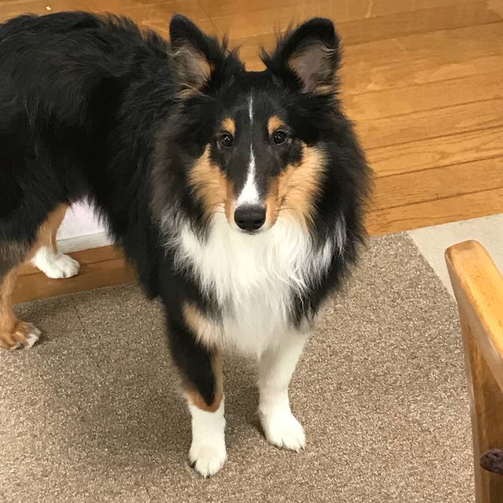 8cfe458b e385 49a2 82ee 77afe2bbac2e 1522707328228