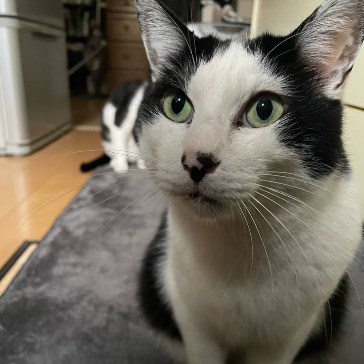 8cfe8eaa 226e 4e78 8478 9cb7f777e75f 1715499941143