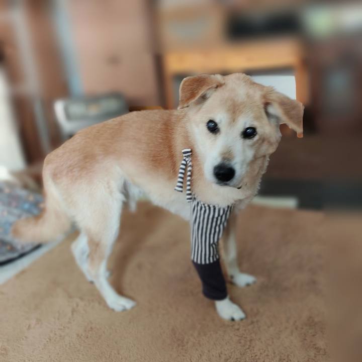 8cfea6a1 a8c3 41f6 bc4e 2c94fc3a0641 1675903319065