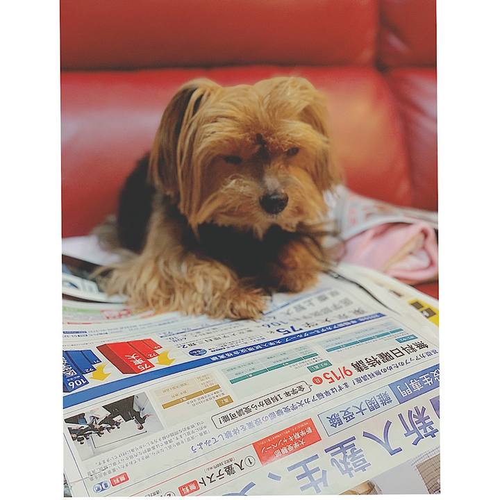 8cfecbbd b74c 4bf3 8700 17dd9a98b487 1567116299239