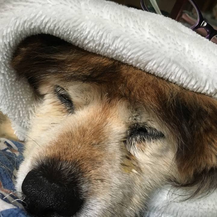 8cff0537 868f 4cf5 b924 fd38fa6c555a 1583717848305