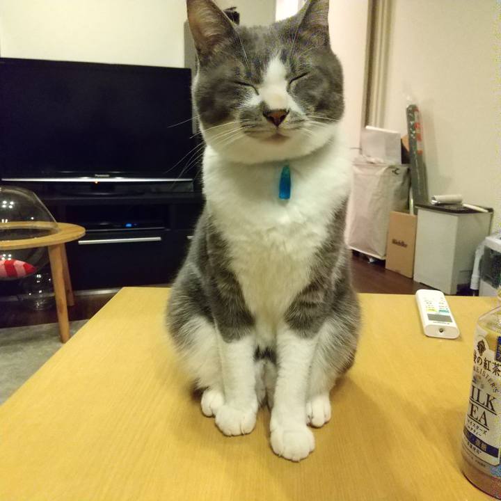 8cff7cfe dfc5 4125 96bd 23ff5a861cca 1613307905692