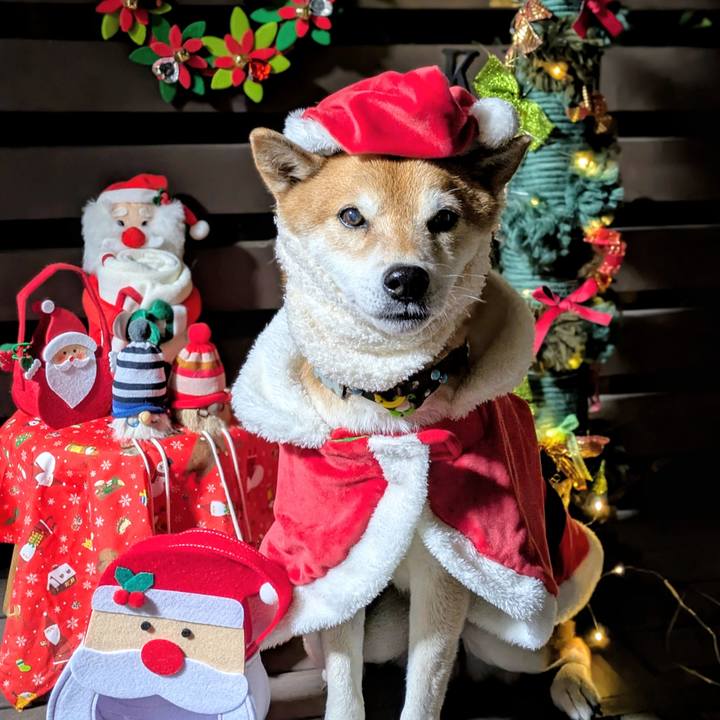 8cff8c45 2396 43e2 b8f8 5c715fd6c585 1766568334620