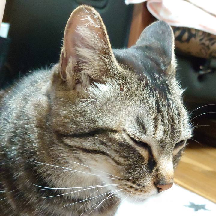 8cffad23 a68f 462c a228 6ccbe72fb050 1622542654682