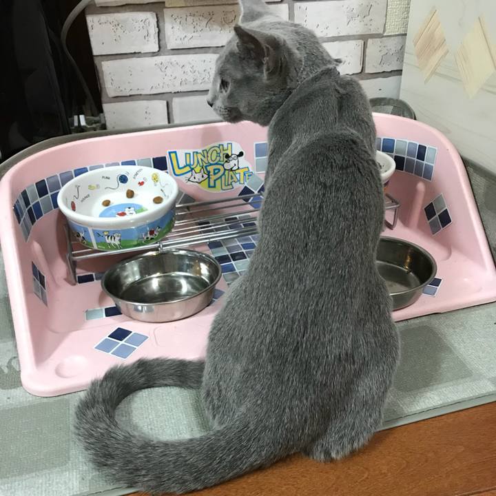 8cffb1a9 6547 4af6 b274 506318baa340 1510058683068