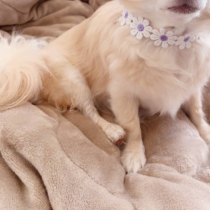 8cffc058 bdf2 4362 adfc 339ce7e281a0 1747994854166