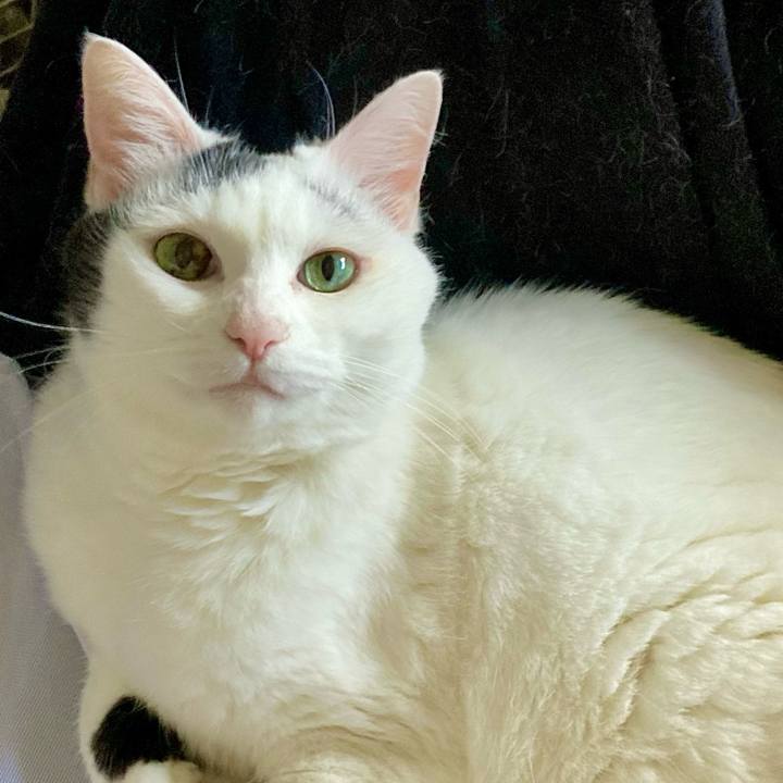 8cffc3e4 f95a 47e5 81c6 904bce44981b 1663305172641