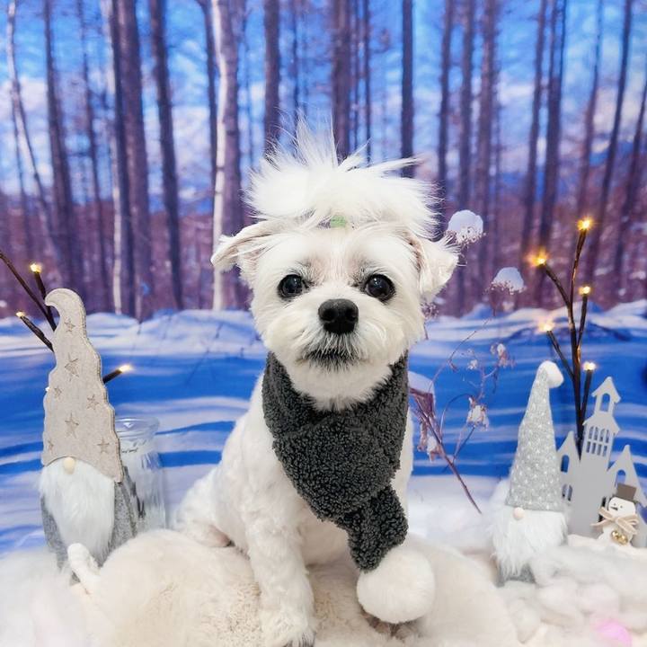 8cffda1c b878 4a4e 9a20 4bc7d45d8087 1765971136452