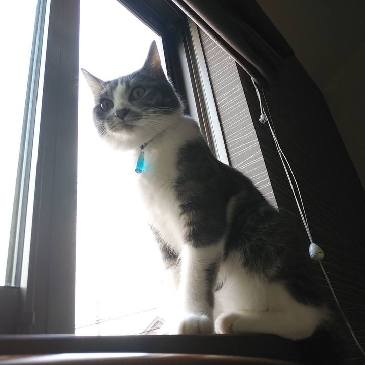 8d000fbc 4ae3 4cd5 8d52 3af0673fcc1d 1576710054656