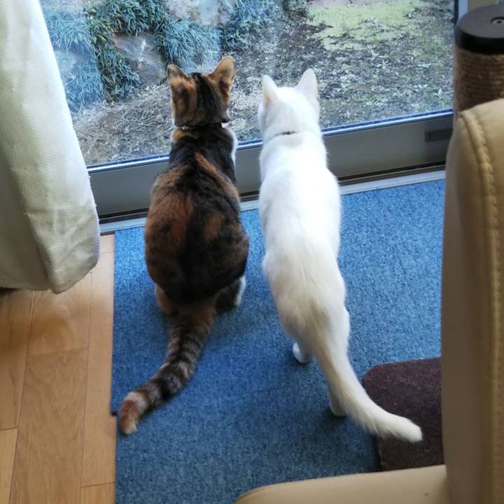 8d00375a cac1 4dba 81a6 cbacc74deec9 1641779443827