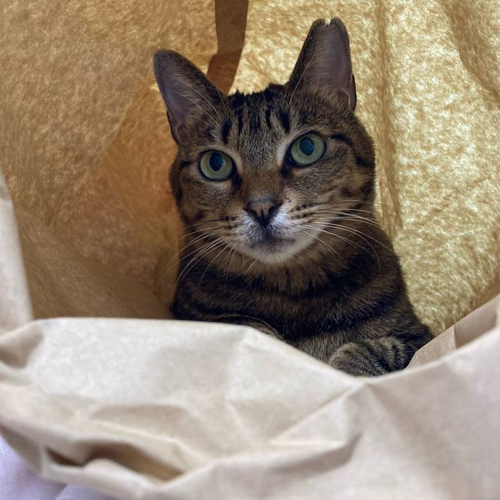 8d005ec2 e81e 4769 b288 27a685dea1da 1674135063059