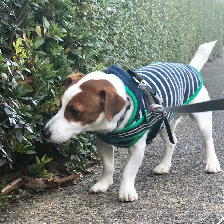 8d0060f8 49bd 46df b7e2 6aa9dbc74fd1 1549006468133