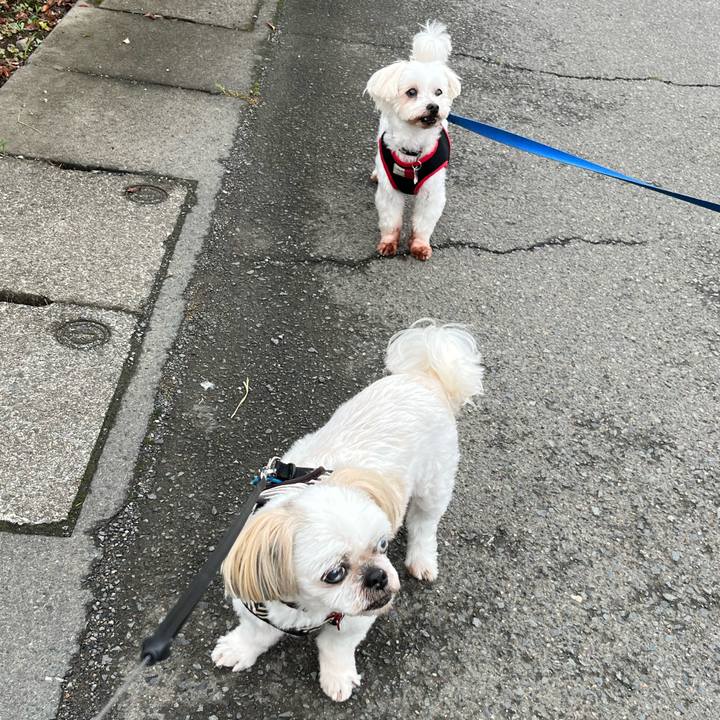 8d008123 f7da 47e1 851d 5abedb0f8b85 1688191434479