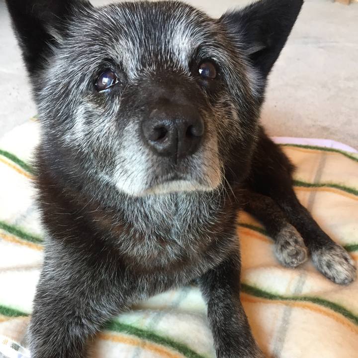 8d00d9fa 0e8a 4d44 be07 b4ad82f2ee84 1526797870427