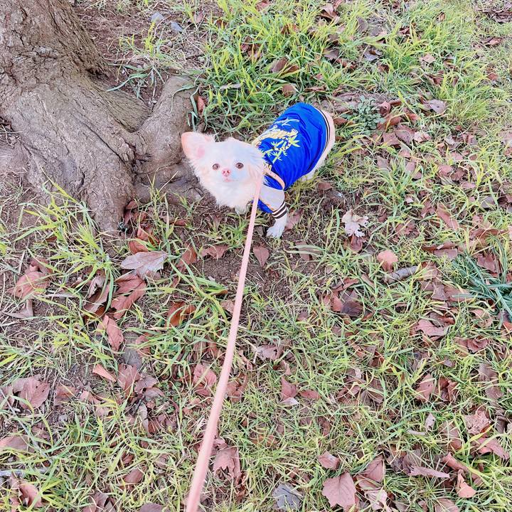 8d00e402 cf97 4ac4 814f 41f3f2da9d4a 1672143582148