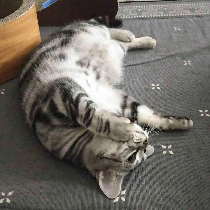 8d00ec61 a2a0 40f5 985a 3ba13326c8bc 1579773378854