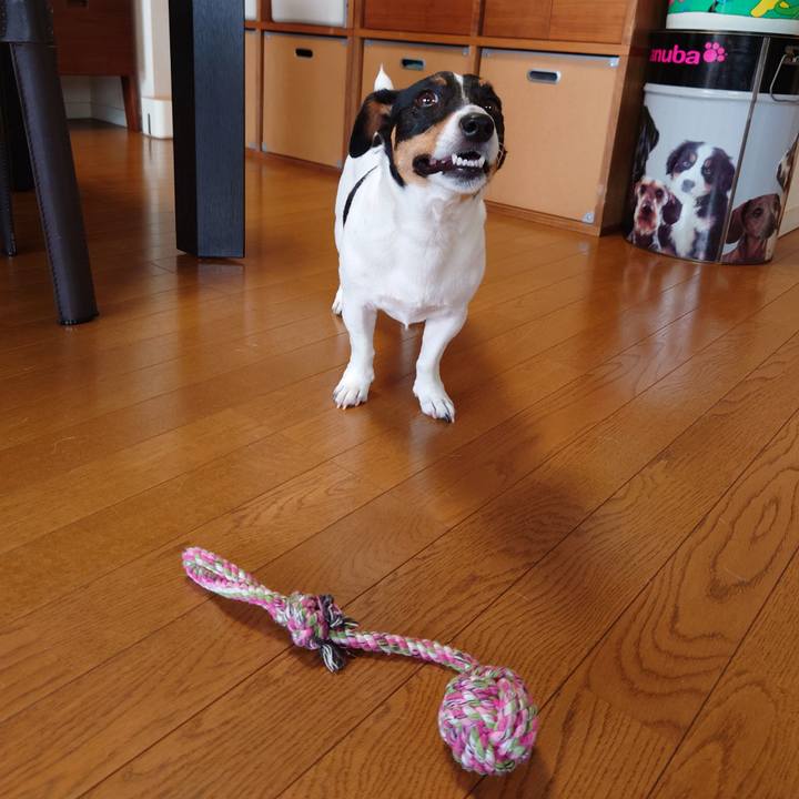 8d00f79c 71a6 45b7 971c f9eb9bbf4f6b 1660692764299