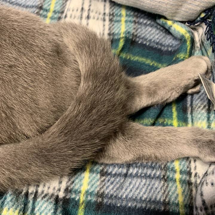 8d00fae2 8ea8 406d a7a7 496b93d461bd 1585003128565