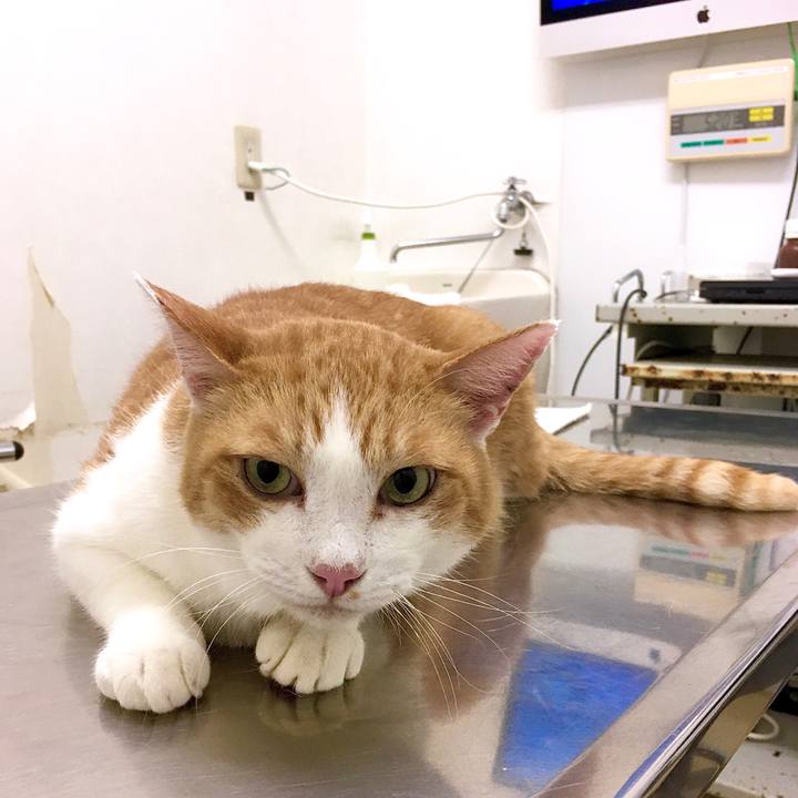 8d01002f e7be 4d88 b5e8 115003a64763 1571640375133