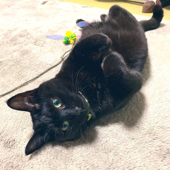 8d0111af 8466 432e ab6d da8a9d4996f6 1555672635559