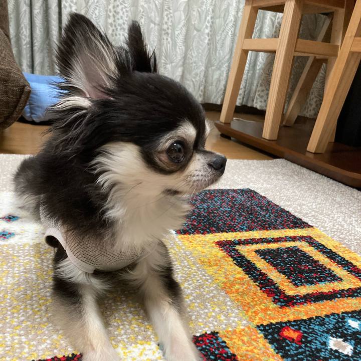 8d01211f e66e 4052 9ad8 9c6dc977d2cc 1693666025141