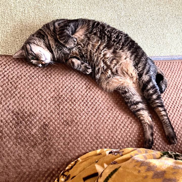 8d018c3a 691c 41ce b1d1 c10c341077d0 1671534177126