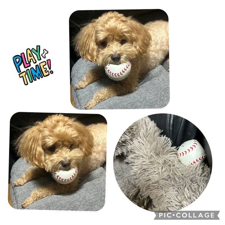 8d018ef3 a6a7 462a ba7e 307d5dd31287 1731177249570