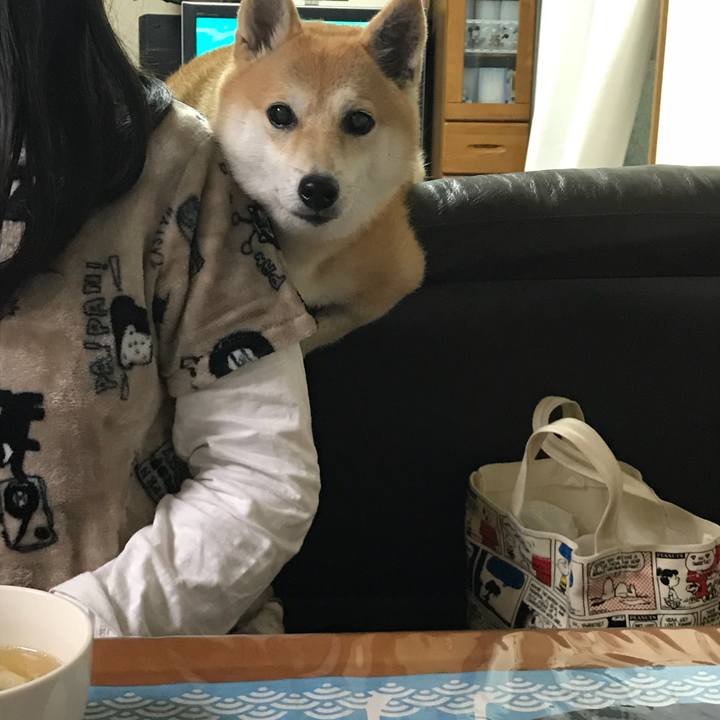 8d01a4f4 23d9 4349 a380 7499eb3a3735 1509366886904