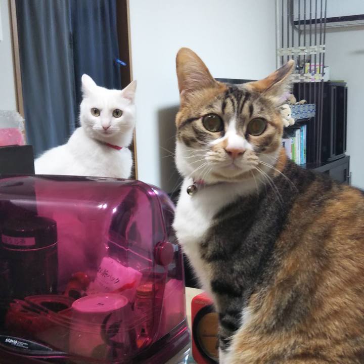 8d01b0e0 8909 4ae3 a021 b27d47a9a56e 1717366228314