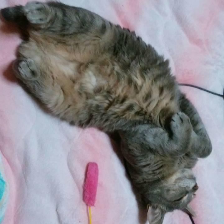 8d01e877 45aa 4aff a370 ba5b04b48ff3 1580050661130