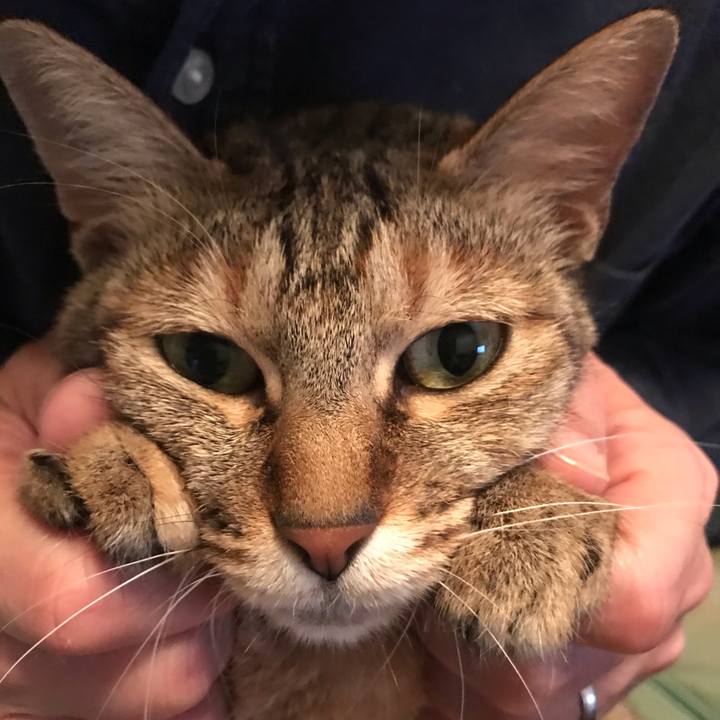 8d01e97b 0c58 4635 ac19 ffa75d865158 1585874036076