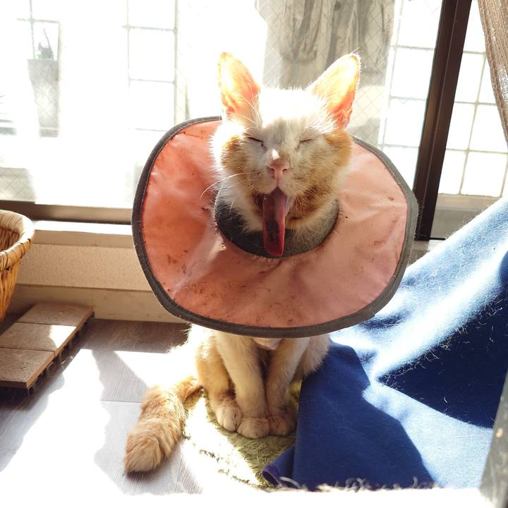 8d01ec9a 2b6d 472c 96e3 cf5a271d9d5c 1760666814515