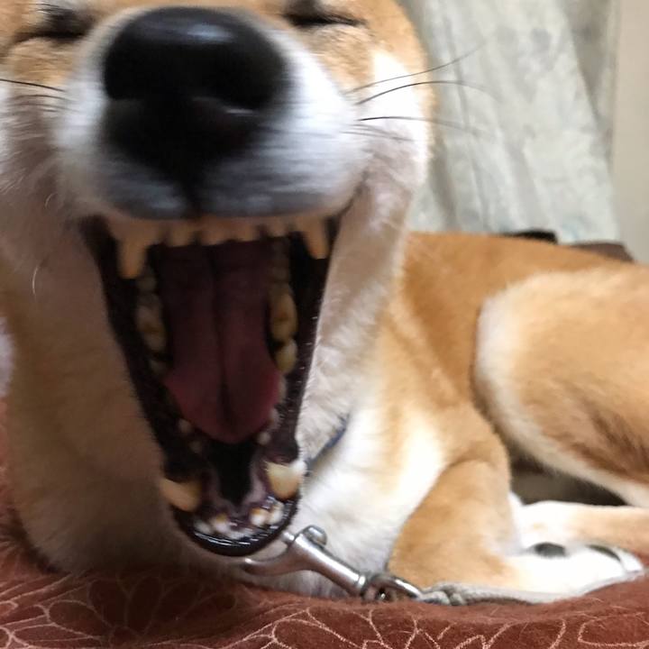 8d01ecdc 2306 4e0a b92b a279fb6d1991 1573993591274