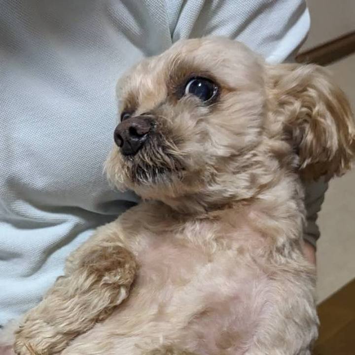 8d020ab7 3a54 46d6 8350 9e19ddc6b864 1680830287164