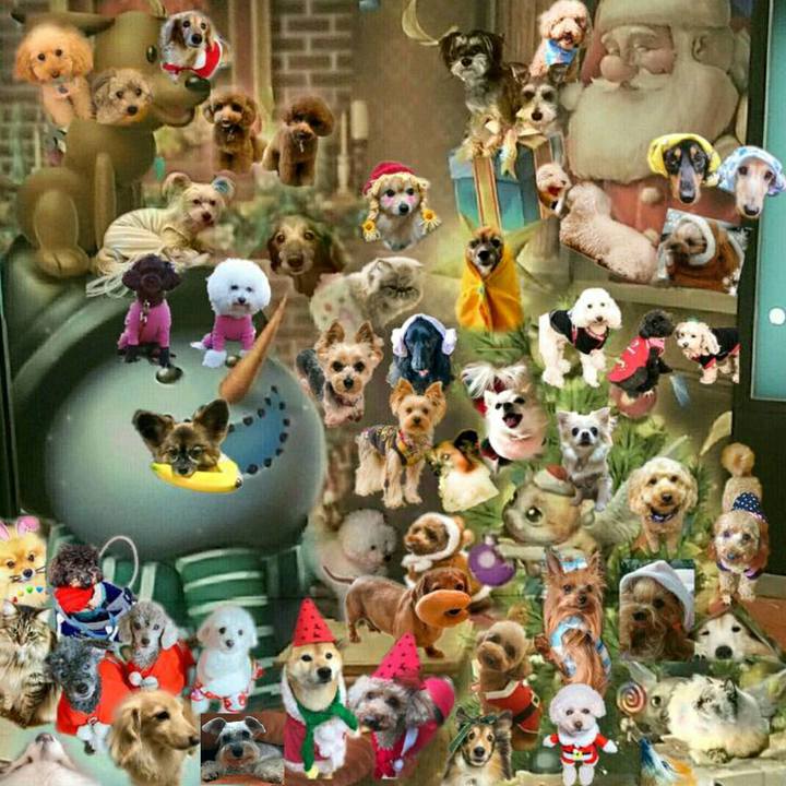 8d021b83 15c0 4e47 a98e 1a8b1a66ce23 1512958166784