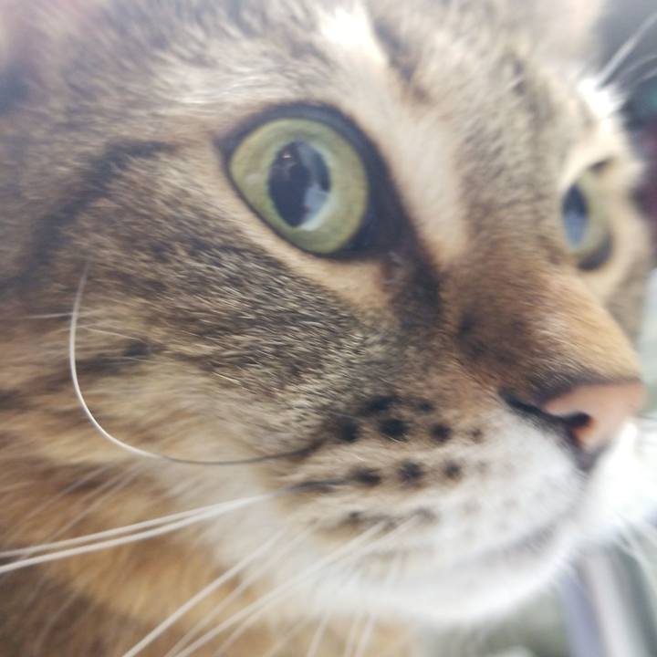 8d0231a3 ae2c 4cf8 bd75 dcc0d96c29fe 1579904669062