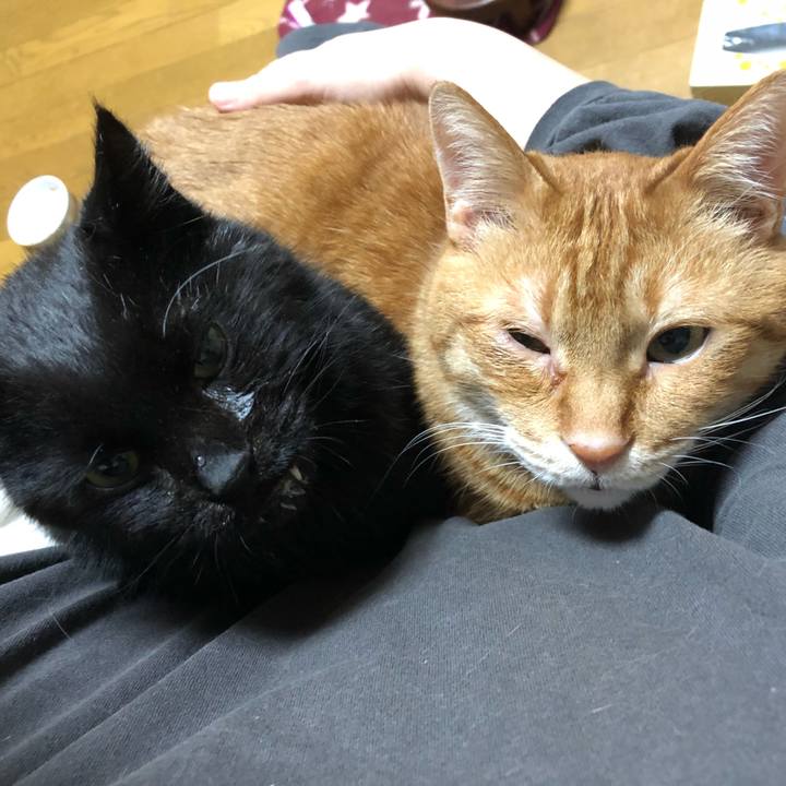 8d025f8e 14d8 47ab 81e1 850eab85f9e3 1645447346830