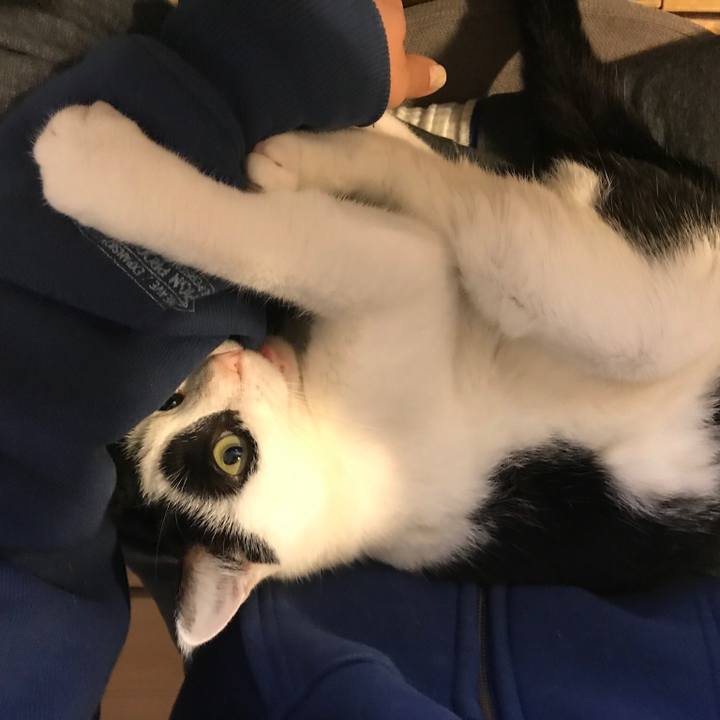 8d0282cf 2456 454f af2d f112349188de 1518607848650