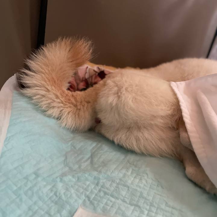 8d029c26 c416 49bf 93b4 5d8cedb81876 1650538008406