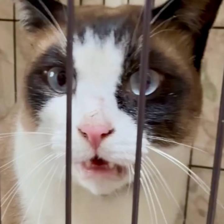 8d02c699 d7f5 486f bcd9 9a29d63d6e0d 1750498947149