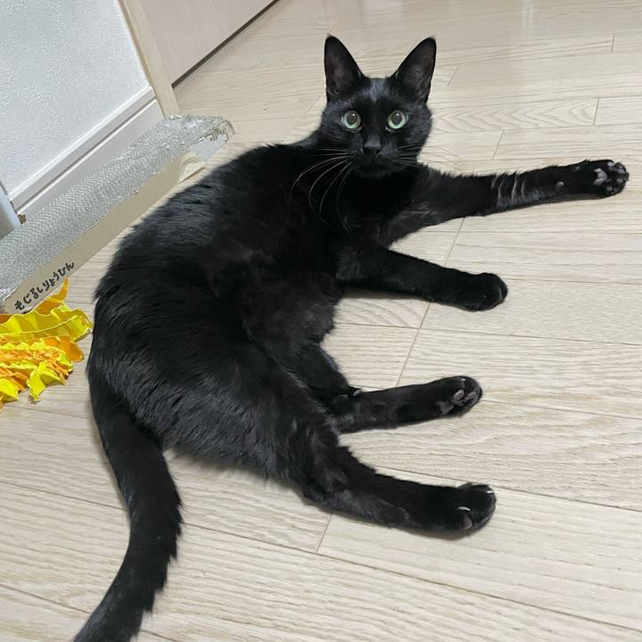 8d02e5cc b5d0 494a 9f28 e559a11bab80 1674390500374