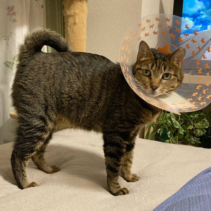 8d02fb07 39f4 4814 adb5 74d34ba86c3e 1606431650372